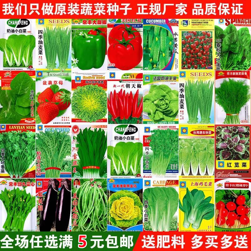 蔬菜种子四季播盆栽阳台庭院香菜生菜菠菜萝卜葱简单易种籽孑大全