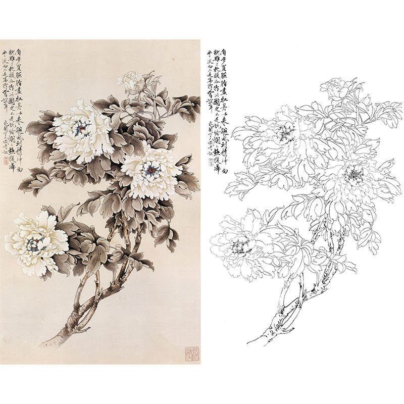 工笔画白描底稿白牡丹于非闇花鸟国画实物打印临摹过透稿yf05