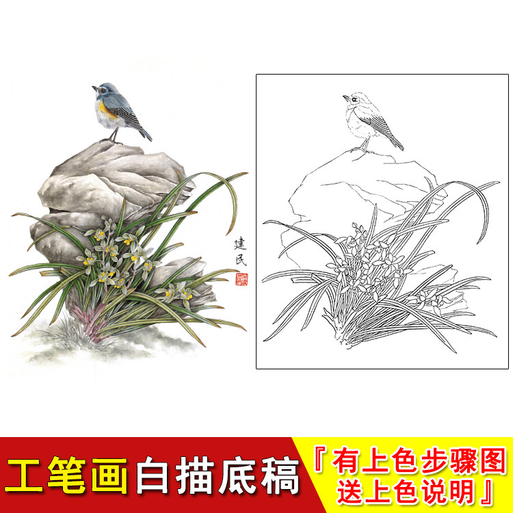 国画花卉兰花工笔画白描底稿线描稿临摹练习初学实物打印稿YB06