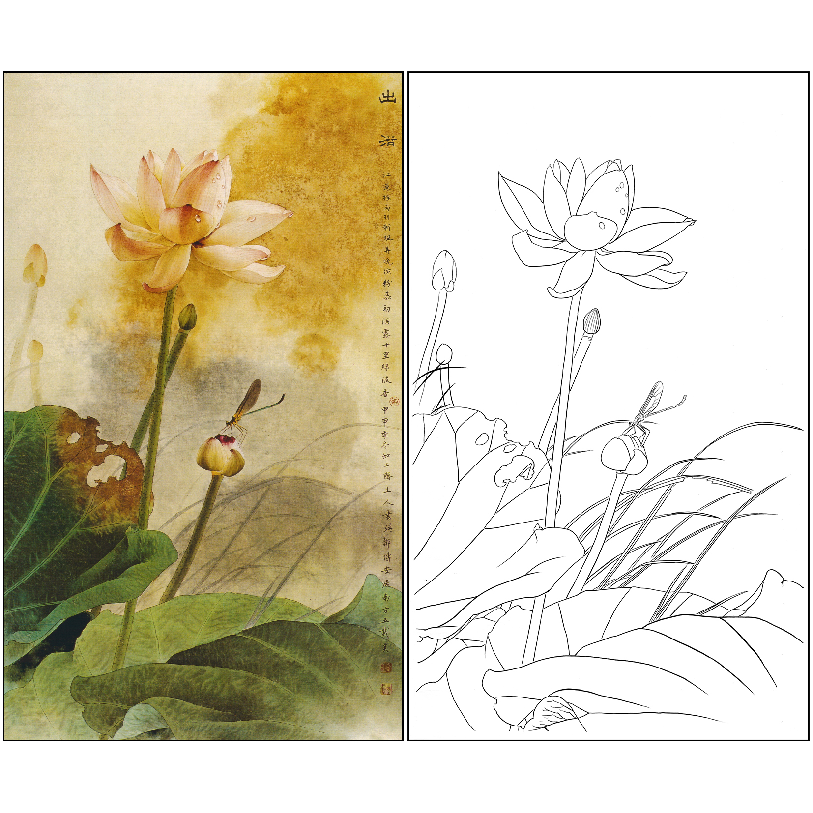 工笔画白描底稿画稿荷花蜻蜓竖幅花鸟邹传安出浴临摹实物打印A009