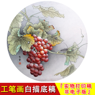 WP02 工笔画葡萄花鸟圆形小品葡萄天牛白描底稿实物打印非电子版