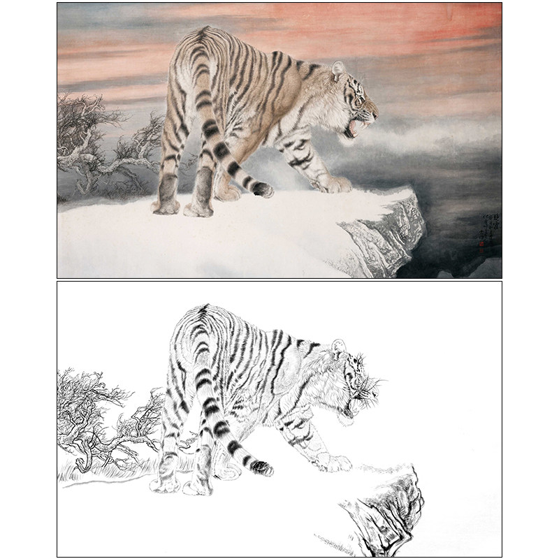 老虎工笔画白描底稿冯大中《晚霞》动物临摹实物白纸打印线稿DZ14