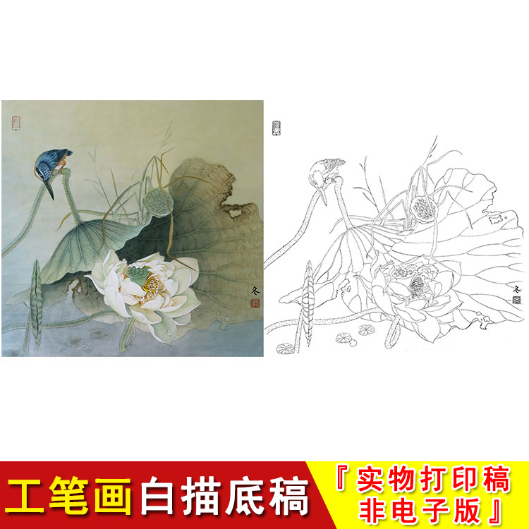 工笔画白描底稿荷花带文字说明有步骤图可选实物打印非电子版HD53