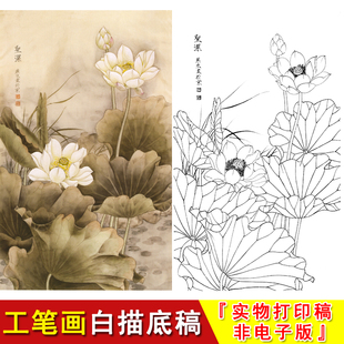 梁燕生工笔画白描底稿-竖幅花鸟-荷花-圣洁-国画临摹线稿A135