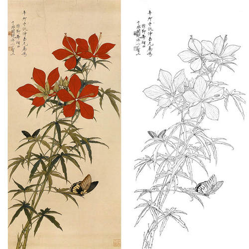 工笔画花鸟白描底稿秋葵蛱蝶图国画大幅于非闇花鸟实物打印稿YF35