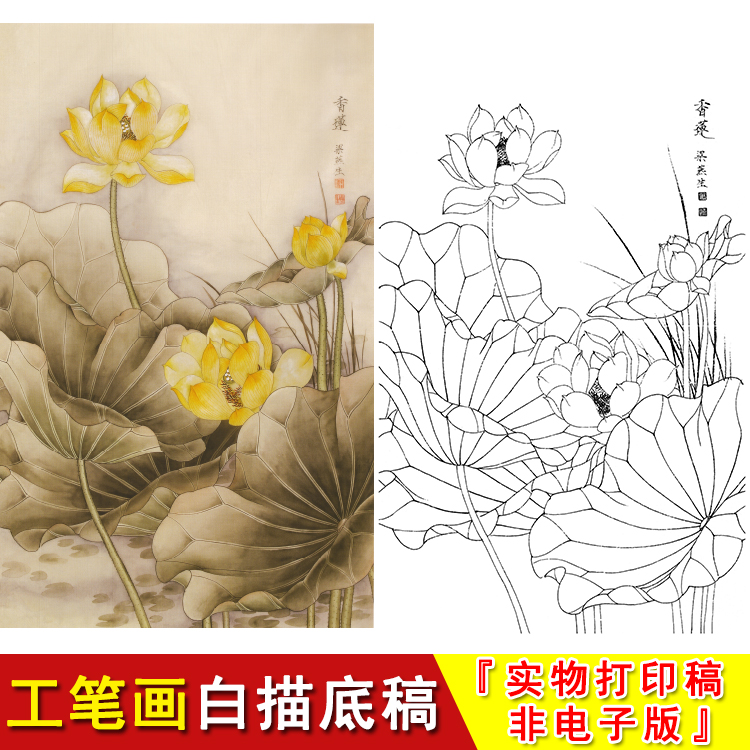 梁燕生工笔白描底稿-竖幅花鸟-荷花-香莲-大幅国画实物打印A129