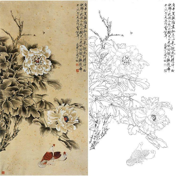 工笔画白描底稿鸽子牡丹双鸽国画于非闇花鸟实物打印线条临摹yf82