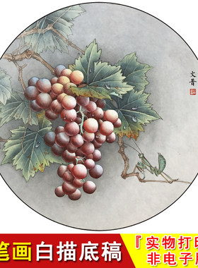 於文普圆形花鸟现代国画工笔画白描底稿葡萄螳螂临摹打印稿WP07