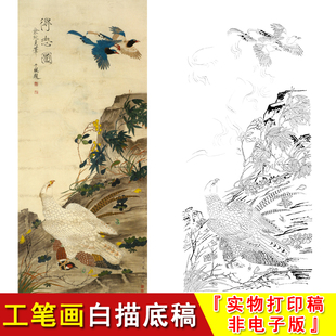 工笔画白描线描画底稿花鸟老鹰得志图俞致贞临摹白纸实物打印HV04