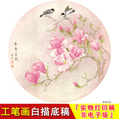 国画临摹 斗方小品 玉兰 实物打印A399 梁燕生工笔白描底稿花鸟