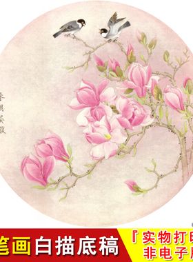 -梁燕生工笔白描底稿花鸟-玉兰-斗方小品-国画临摹-实物打印A399