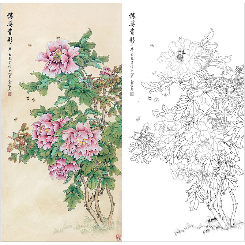 俞致贞牡丹工笔花鸟白描底稿《秾姿贵彩》临摹勾线高清打印稿ZZ03