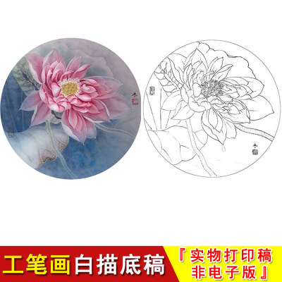 工笔画白描底稿荷花梦蝶国画底稿有步骤图含文字说明实物打印HD34