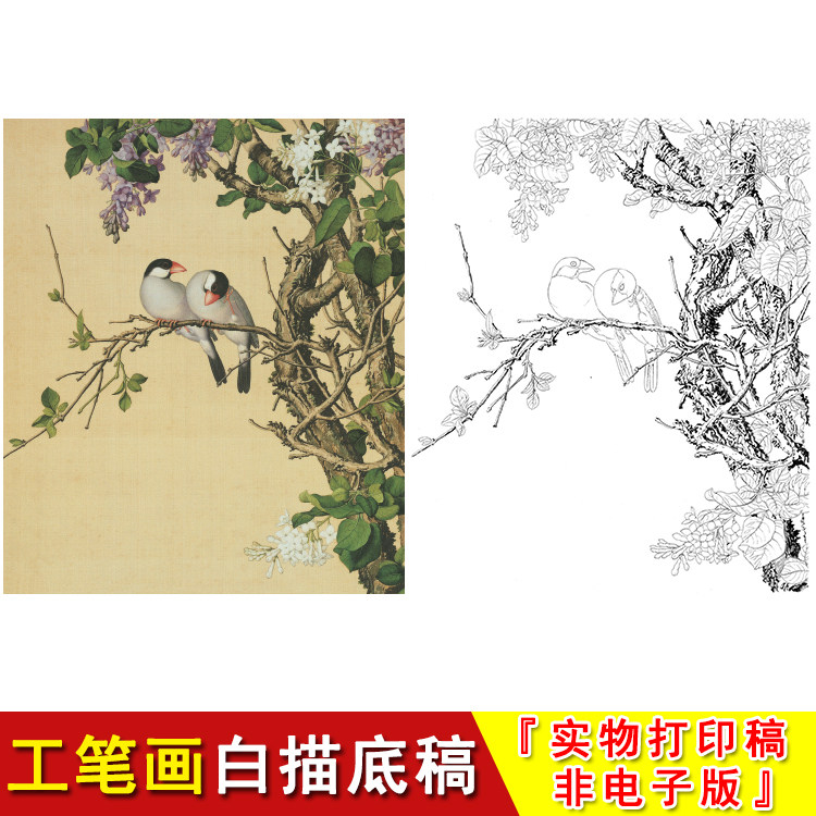 郎世宁工笔花鸟白描底稿仙萼长春册紫白丁香燕子国画入门临摹lt10