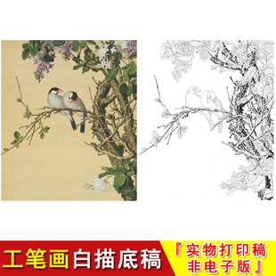 郎世宁工笔花鸟白描底稿仙萼长春册紫白丁香燕子国画入门临摹LT10