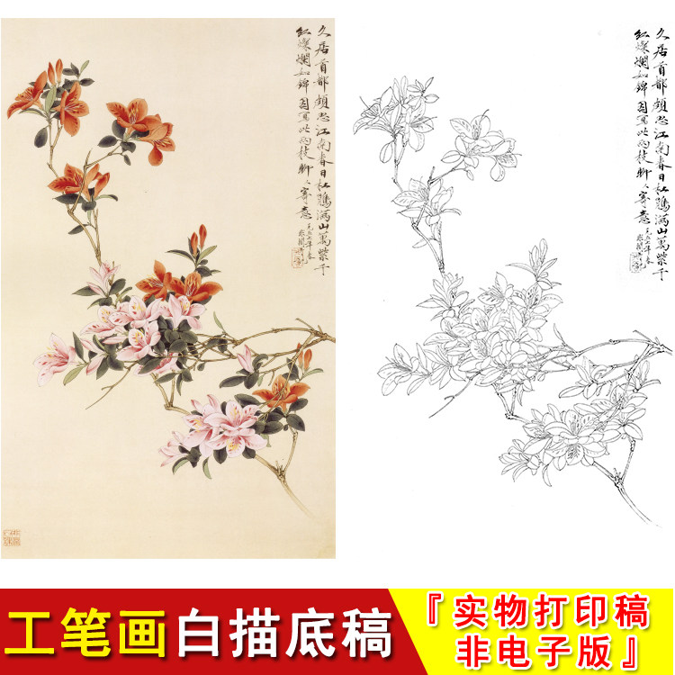 工笔画白描底稿于非闇国画花鸟杜鹃线条实物打印临摹过透稿yf25