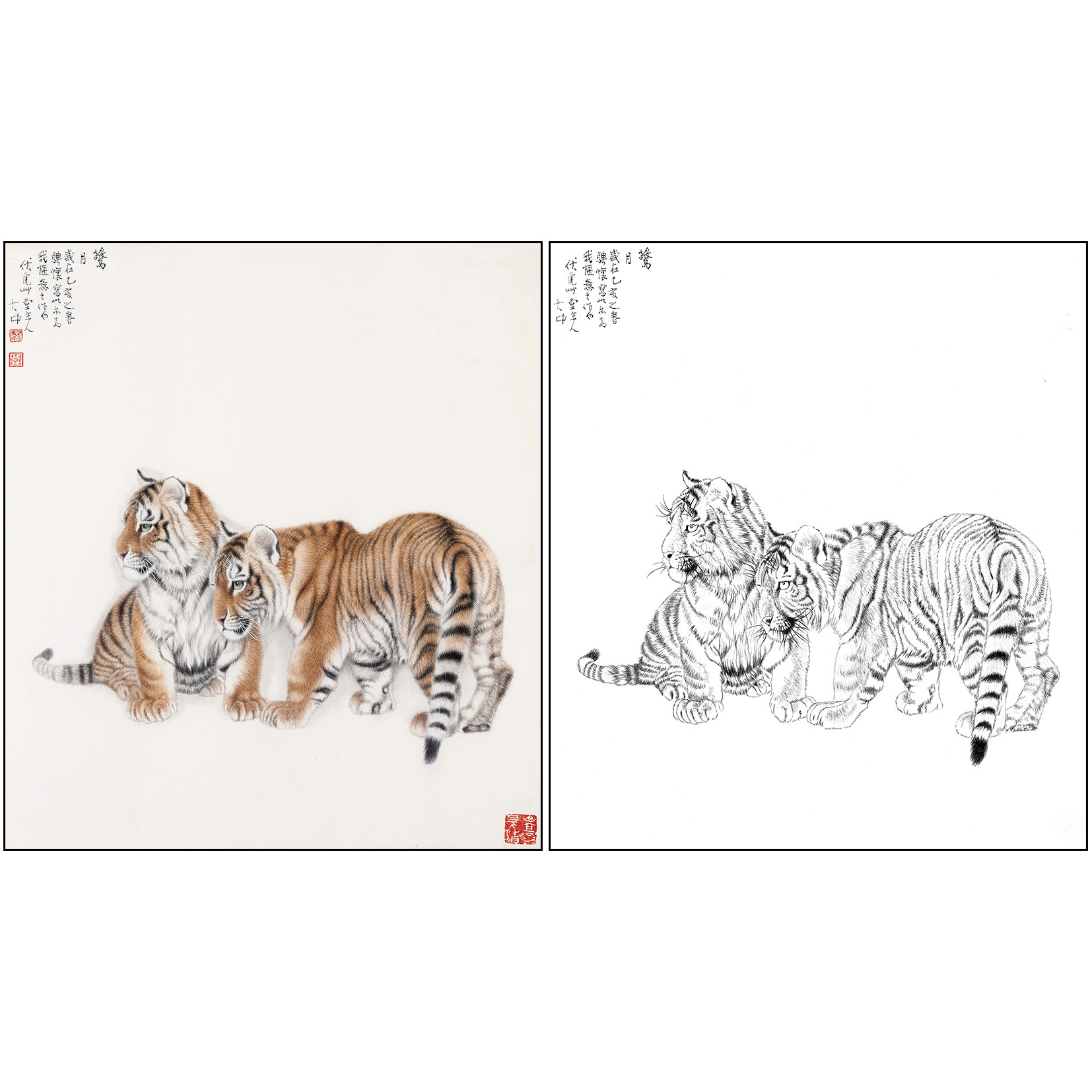 老虎工笔画白描底稿冯大中《惊月》动物临摹实物白纸打印线稿DZ13