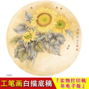 工笔画白描底稿圆形花鸟向日葵国画斗方小品梁燕生临摹线条稿A401