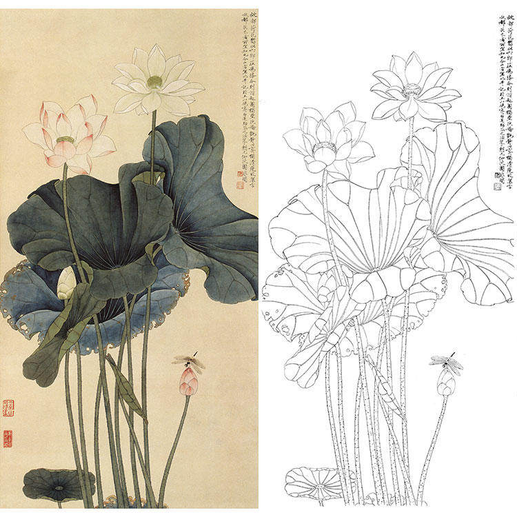 工笔画白描底稿荷花国画于非闇花鸟大幅实物打印临摹过透稿yf29