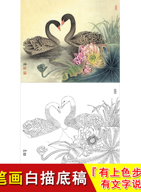 工笔白描画稿-荷塘春意浓-有步骤说明 国画勾线临摹 打印底稿ZL02