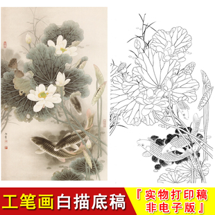 A008 国画鲤鱼荷花竖版 大幅写意工笔画白描底稿临摹勾线实物打印版