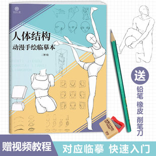人体结构动漫手绘临摹本 绘画练习本 素描速写本美术画画本子