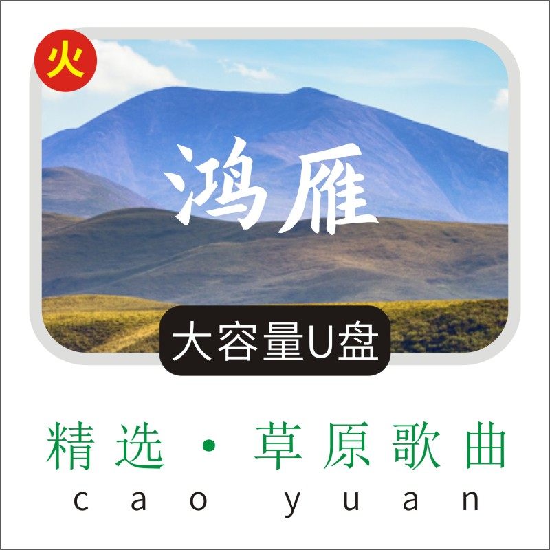 草原歌曲U盘汽车载音乐刀郎降央卓玛凤凰传奇腾格尔凤凰传奇无损 - 实物图