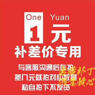 需要本体 补差额 远程费 修复费 安装费专用 软件远程安装