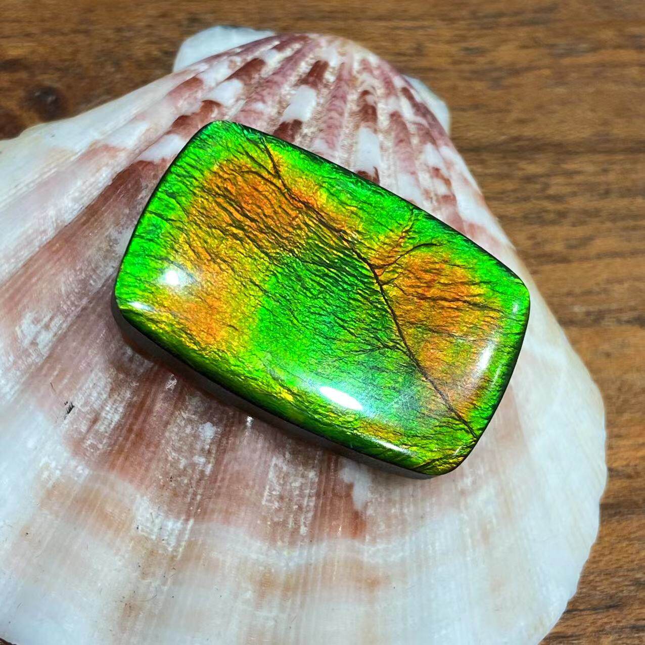 加拿大矿区斑彩石 单面裸石 22ct/a级别 ls22cta 030553