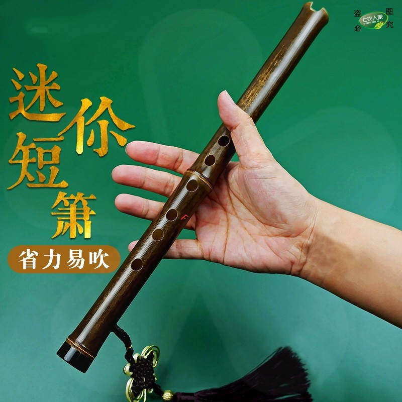 箫乐器初学者零基础儿童成人专业演奏古风紫竹迷你短萧用嘴吹奏类