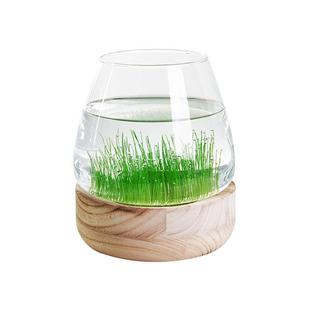 办公室鱼缸生态瓶微景观鱼玻璃圆形桌面小型迷你创意造景摆0920v