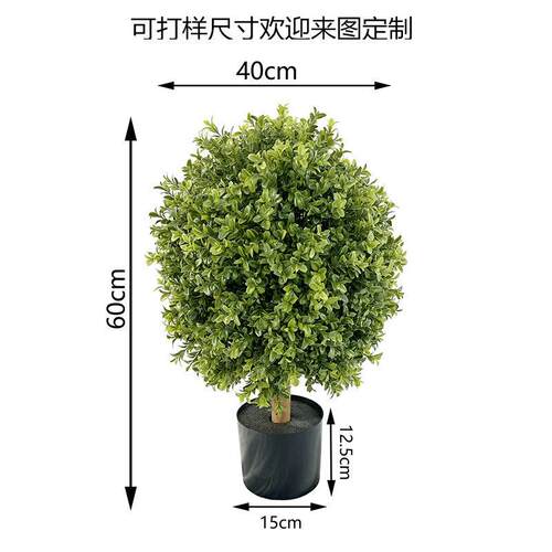 仿真黄杨木杨梅叶圣生白蒂树枝假果枝福禄桐叶室插花摆件花卉景观
