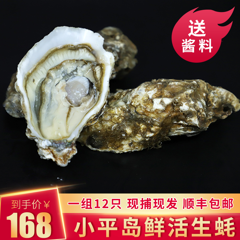 鲙品大连小平岛鲜活12个装即食生蚝券后168.00元