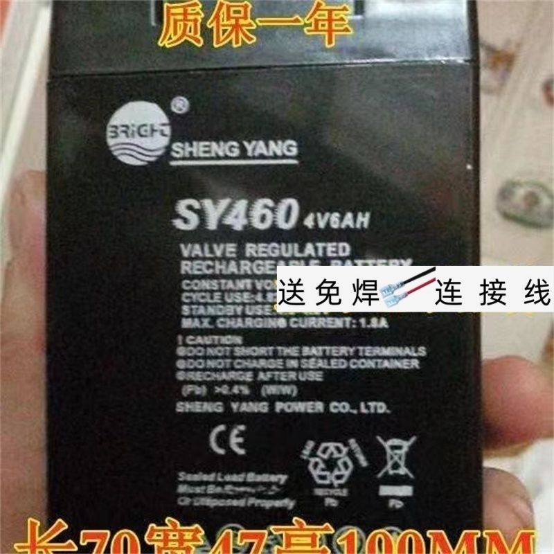 SHENGYANG蓄电池SY4604V6AH电