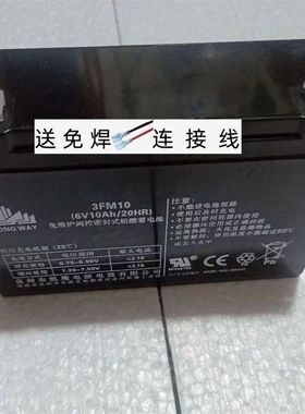 LONG WAY 6V10Ah 20hr童车 儿童车电动汽车大容量6伏蓄电池 3FM10