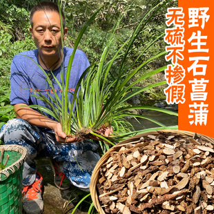 野生石菖蒲中药材500g正品九节菖蒲草药山昌蒲根石菖蒲干货泡茶
