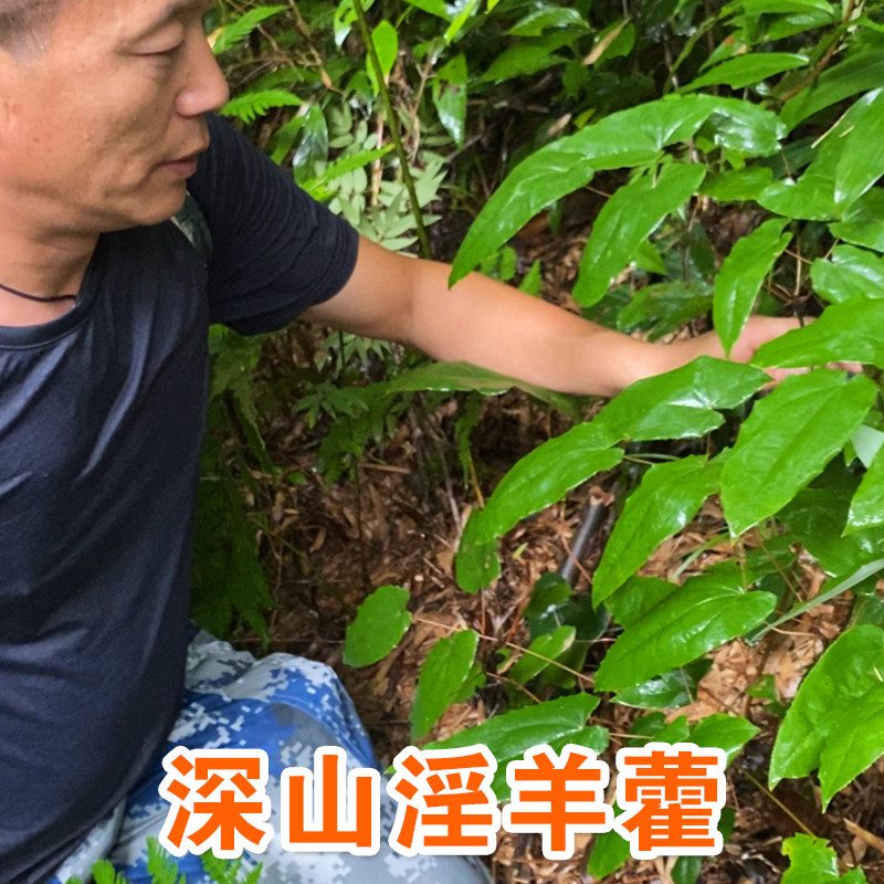 野生淫羊藿中药材泡水喝特级淫羊藿根仙灵脾叶羊合叶泡酒药材100g
