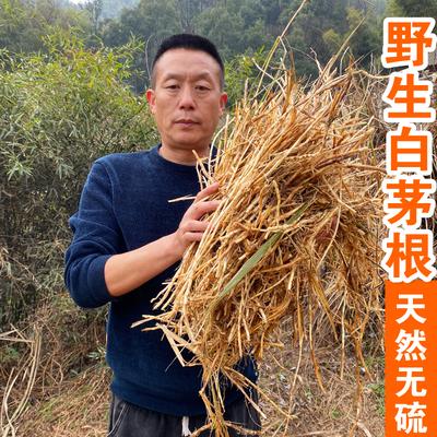 野生白茅根清香鲜甜无硫无添加