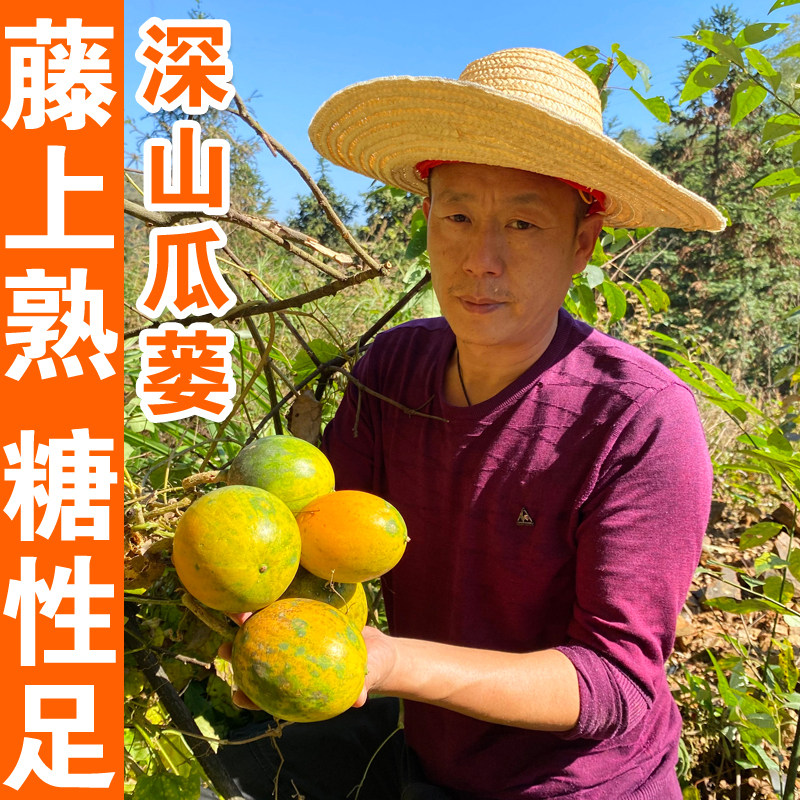 野生瓜蒌中药材500g全瓜蒌实瓜蒌皮丝瓜篓果瓜娄壳栝楼薤白半夏汤,传统滋补营养品,其他药食同源食品,淘宝优惠券,粉丝福利购,淘宝优惠卷