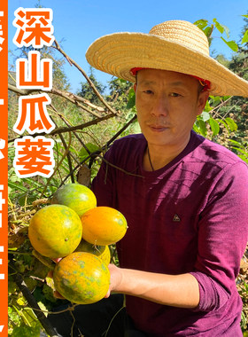 野生全瓜蒌中药材质优味浓无硫