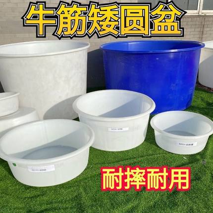 加厚牛筋盆圆形塑料矮盆家用水桶养鱼水箱大号洗澡桶圆桶酒桶水桶