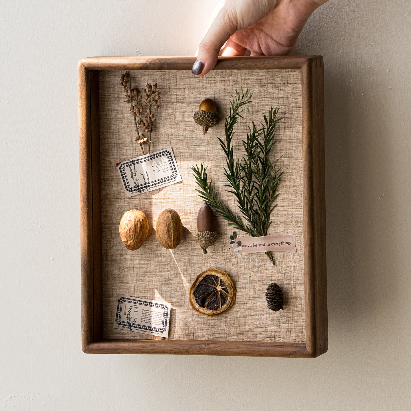黑胡桃实木乾燥花相框蝴蝶植物标本中空画框diy手工榫卯相框展示