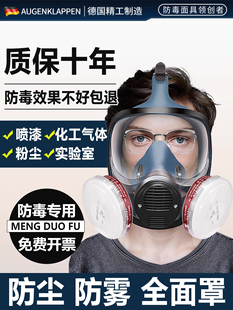 德国防毒面具全面罩化工有毒气体实验室喷漆专用硫化氢防甲醛防尘