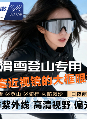 滑雪护目镜墨镜可戴眼镜雪山