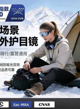 防雪盲症护目镜防风可戴眼镜