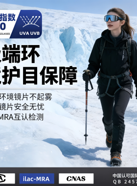 防雪盲症护目镜防风可戴眼镜