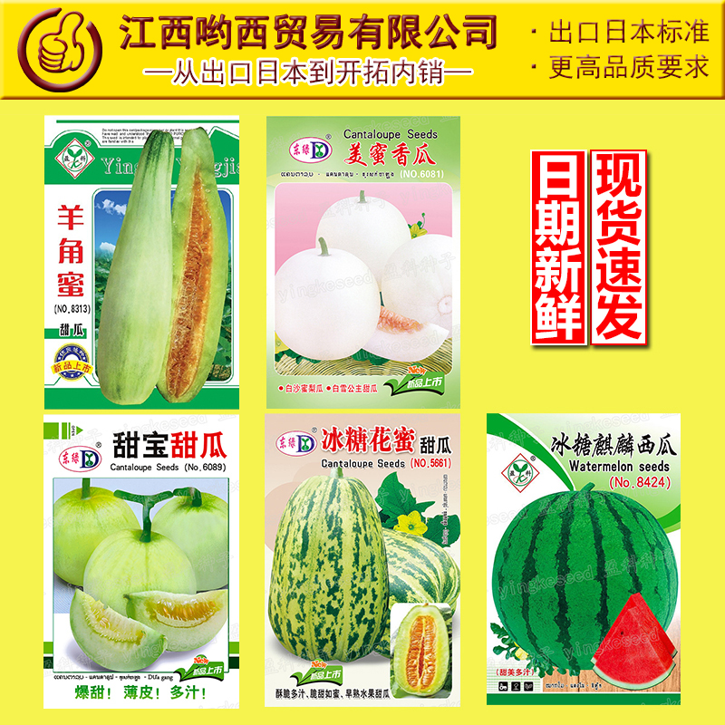 甜瓜種子甜寶冰糖麒麟西瓜種籽