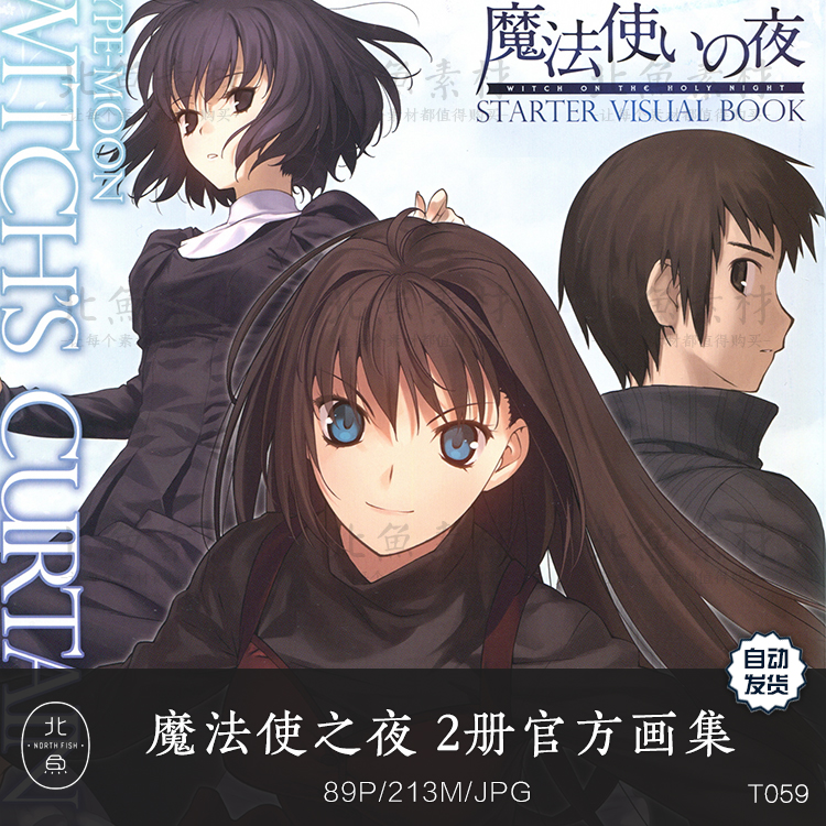 魔法使之夜 官方背景设定人物原画2部画集 游戏美术手稿参考素材