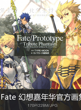 Fate幻想嘉年华官方设定集 角色人设原画手稿资料CG美术参考素材