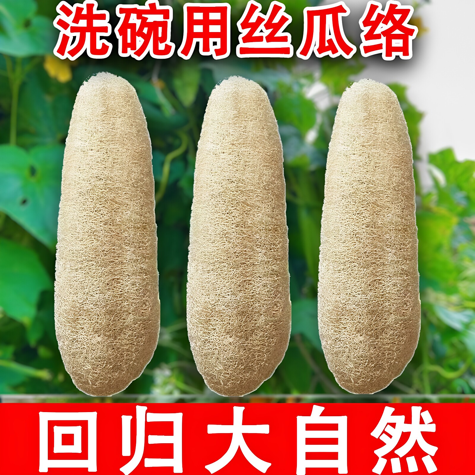 丝瓜络洗碗囊锅刷烙搓澡巾厨房专用抹布不沾油百洁布整根丝瓜瓤刷